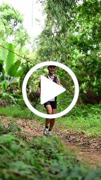 BIB:  <button type="button" onclick="openModal(26822640)" class="btn btn-primary btn-sm float-right" data-toggle="modal" data-target=".modal-high-quality">
                <i class="fa fa-download"></i> Download
                </button>